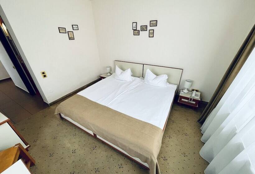 חדר סטנדרט, Pensiunea Luiza