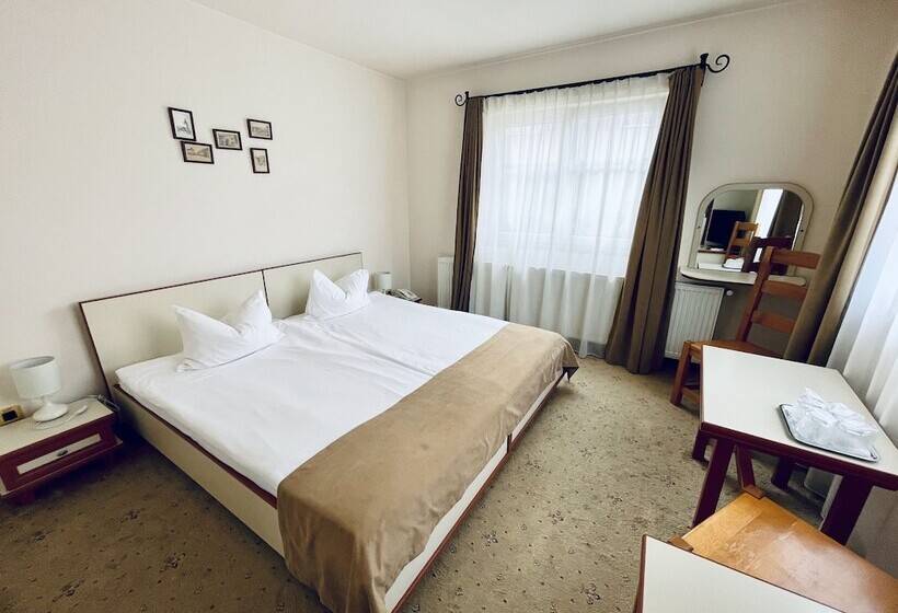 חדר סטנדרט, Pensiunea Luiza