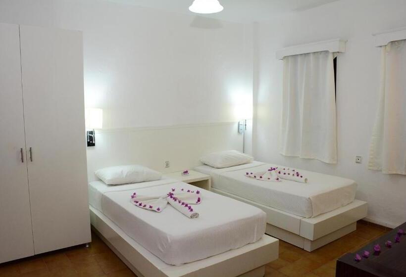 غرفة قياسية, Bodrum Park