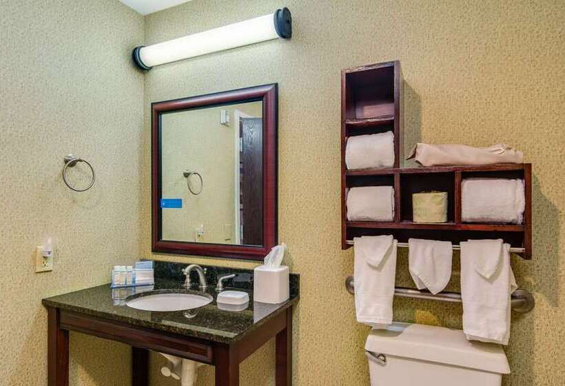 Standaardkamer met Kingsize Bed Aangepast voor Gehandicapten, Doubletree By Hilton Chicago Midway Airport
