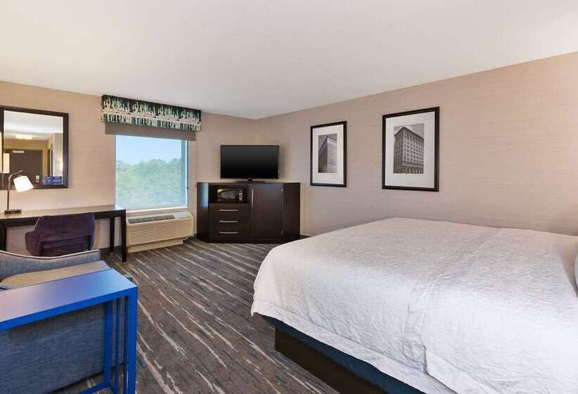 Standaardkamer met Kingsize Bed Aangepast voor Gehandicapten, Doubletree By Hilton Chicago Midway Airport