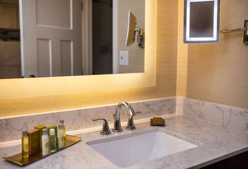 适合残疾人士使用的带超级大床的标准间, Doubletree By Hilton Chicago Midway Airport