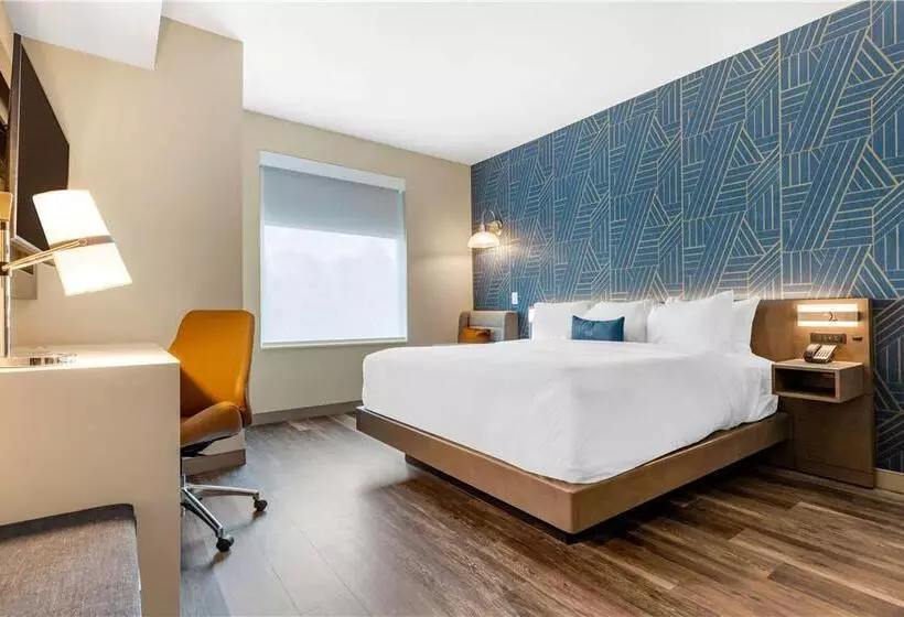 身障者適用キングサイズベッドルーム, Doubletree By Hilton Chicago Midway Airport