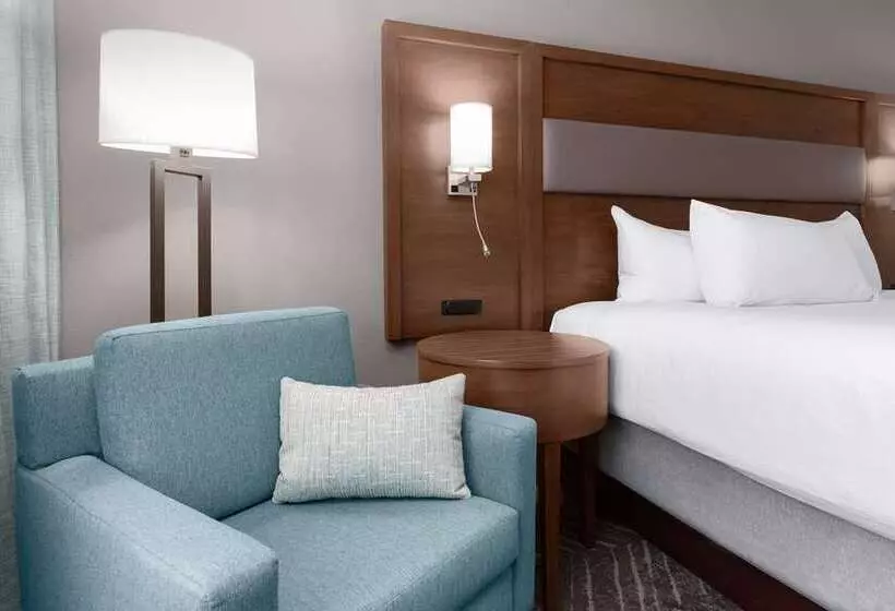 身障者適用キングサイズベッドルーム, Doubletree By Hilton Chicago Midway Airport