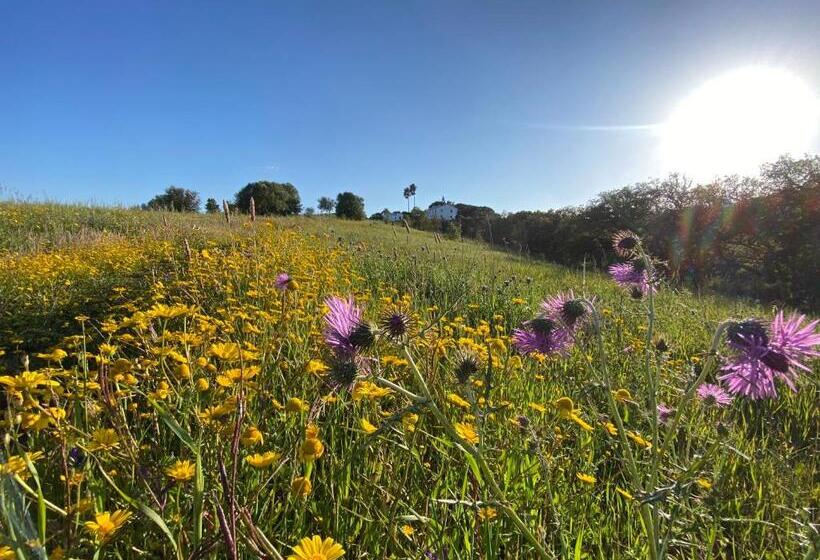 빌라 침실 1개, Monte Do Zambujeiro