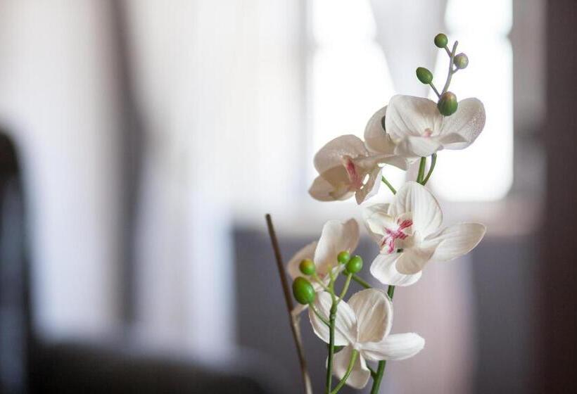 빌라 침실 1개, Monte Do Zambujeiro