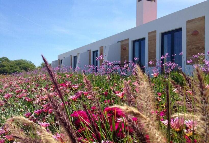 스탠다드 룸 킹사이즈 침대, Monte Do Zambujeiro