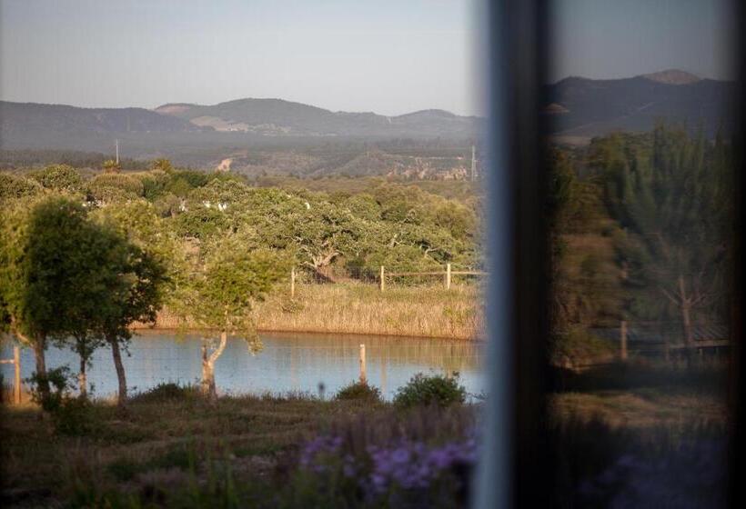 스탠다드 룸 킹사이즈 침대, Monte Do Zambujeiro