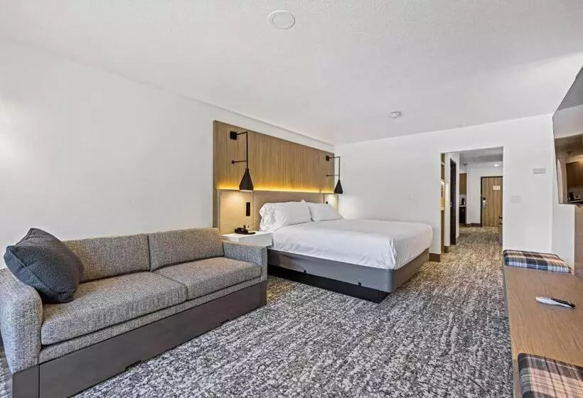 Deluxe Suite King Bed, The Evergreen