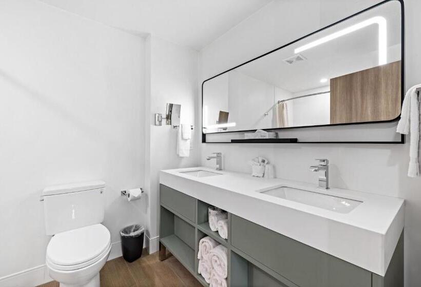 סטודיו דלוקס, The Evergreen