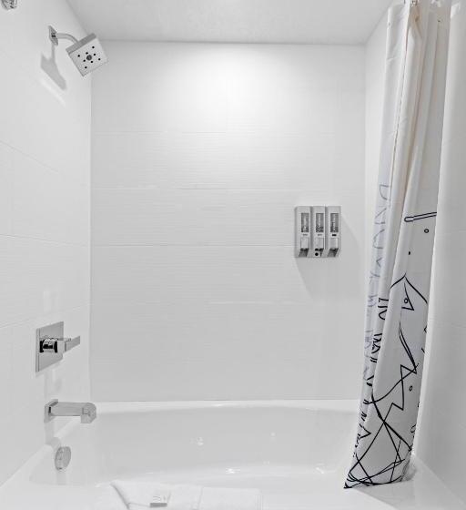 סטודיו דלוקס, The Evergreen