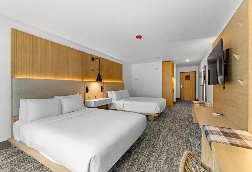 适合残疾人使用的标准间, The Evergreen