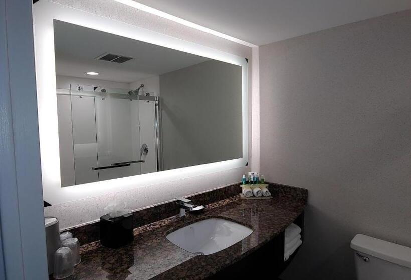 Standard Szoba King Size Bed, Holiday Inn Express Schaumburg Rolling Meadows, An Ihg