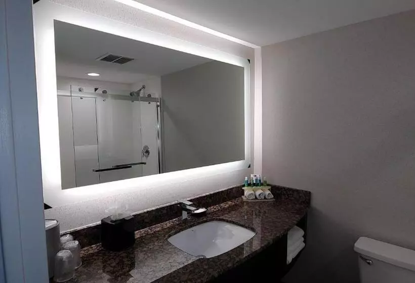 Standard-huone King-vuode, Holiday Inn Express Schaumburg Rolling Meadows, An Ihg