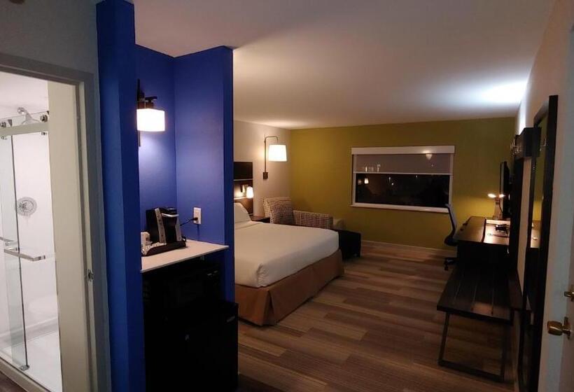 스탠다드 룸 킹사이즈 침대, Holiday Inn Express Schaumburg Rolling Meadows, An Ihg