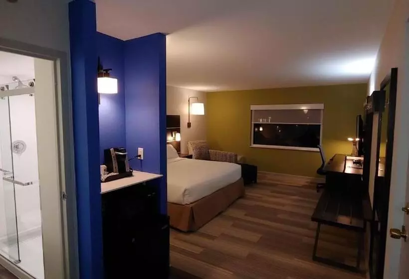 Standard-huone King-vuode, Holiday Inn Express Schaumburg Rolling Meadows, An Ihg