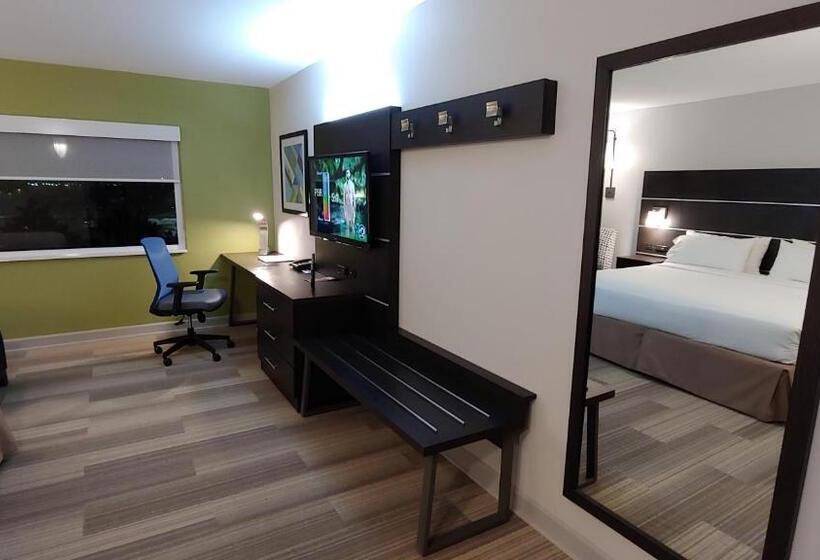 스탠다드 룸 킹사이즈 침대, Holiday Inn Express Schaumburg Rolling Meadows, An Ihg