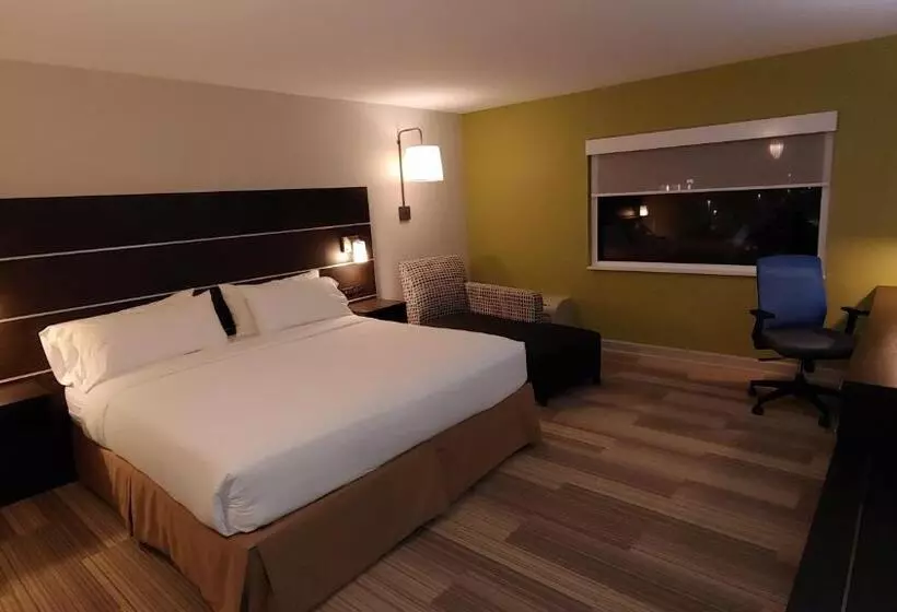 Standard-invahuone King-vuode, Holiday Inn Express Schaumburg Rolling Meadows, An Ihg