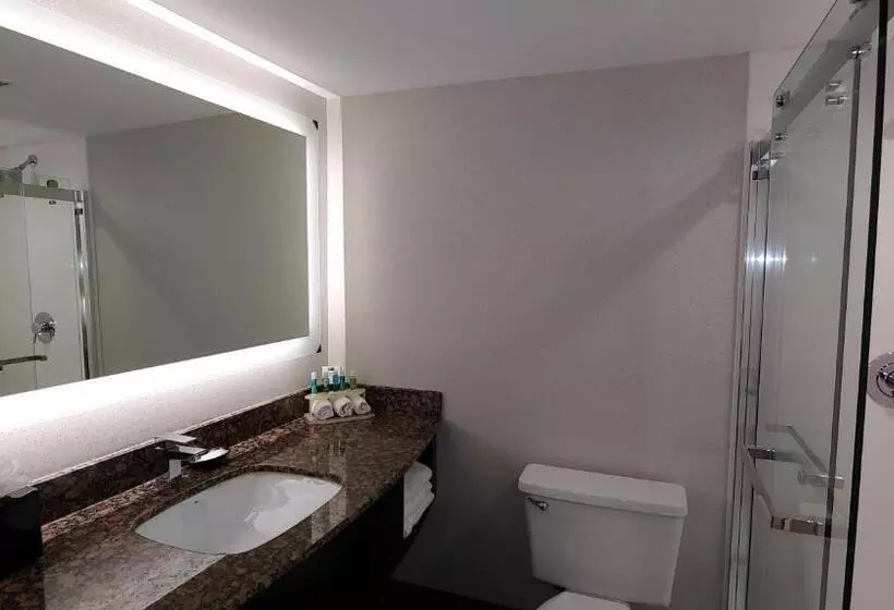 Standard-huone 2 Parivuodetta, Holiday Inn Express Schaumburg Rolling Meadows, An Ihg