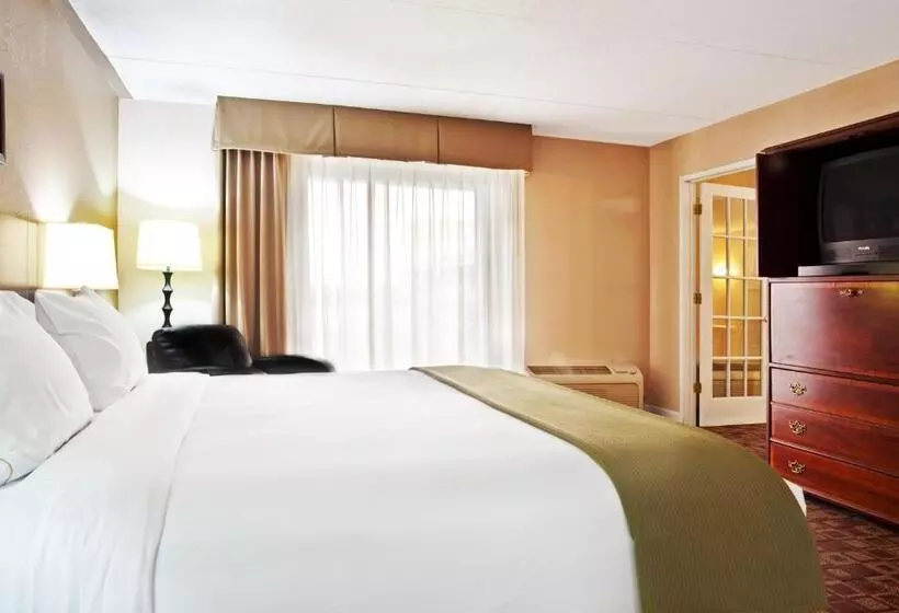 Sviitti, Holiday Inn Express Schaumburg Rolling Meadows, An Ihg