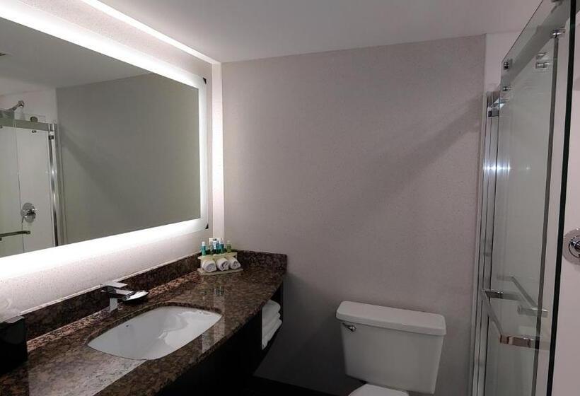 수피리어 룸, Holiday Inn Express Schaumburg Rolling Meadows, An Ihg