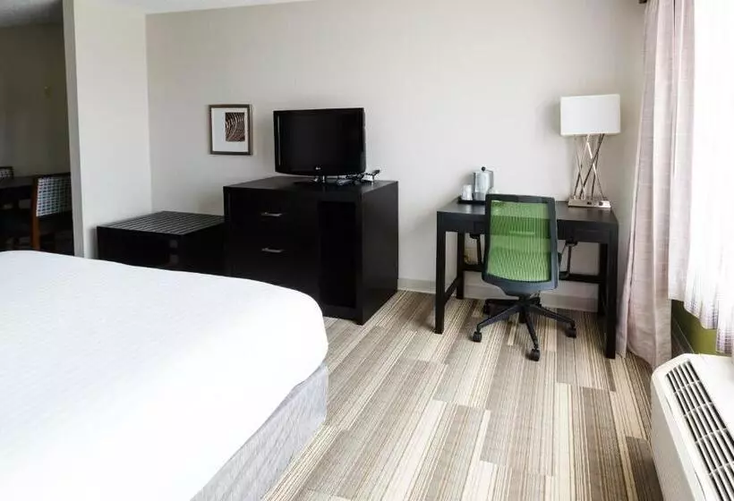 キングサイズベッドのスタンダードルーム, Holiday Inn Express & Suites Shelbyville, An Ihg