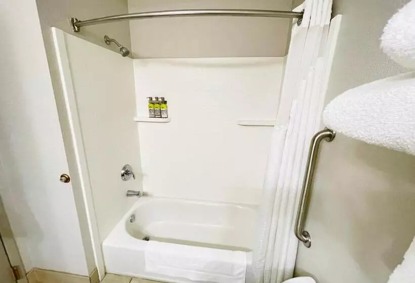 スタンダードルーム, Holiday Inn Express & Suites Shelbyville, An Ihg