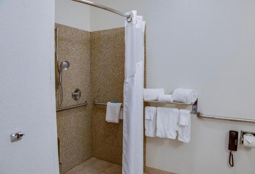 غرفة قياسية سرير كينج, Holiday Inn Express & Suites Jacksonville, An Ihg