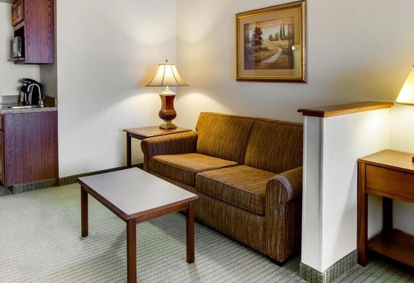 جناح سرير كينج, Holiday Inn Express & Suites Jacksonville, An Ihg