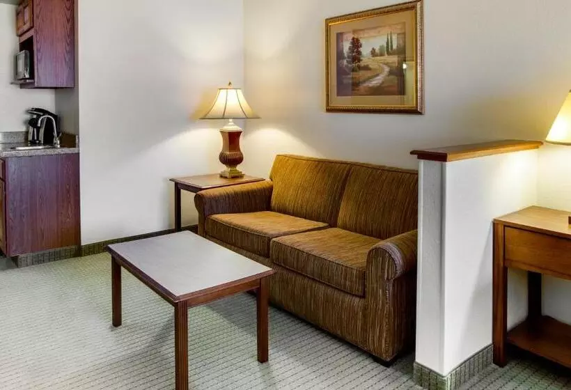 キングサイズベッドのスイートルーム, Holiday Inn Express & Suites Jacksonville, An Ihg