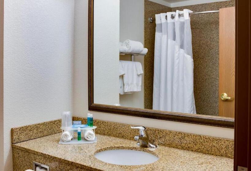 جناح سرير كينج, Holiday Inn Express & Suites Jacksonville, An Ihg