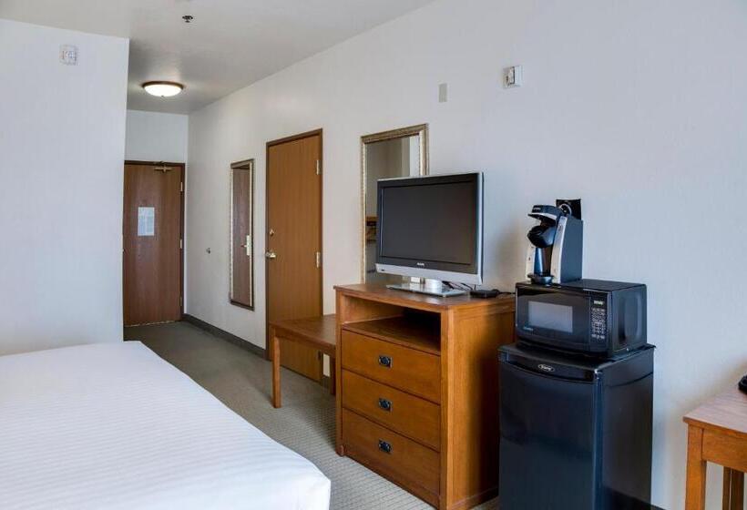 스탠다드 룸, Holiday Inn Express & Suites Jacksonville, An Ihg