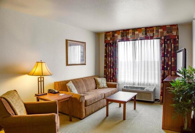 스위트, Holiday Inn Express & Suites Jacksonville, An Ihg