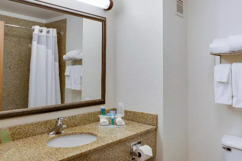 キングサイズベッドのスタンダードルーム, Holiday Inn Express & Suites Jacksonville, An Ihg