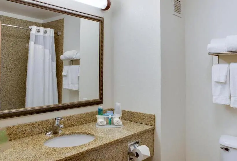 キングサイズベッドのスタンダードルーム, Holiday Inn Express & Suites Jacksonville, An Ihg