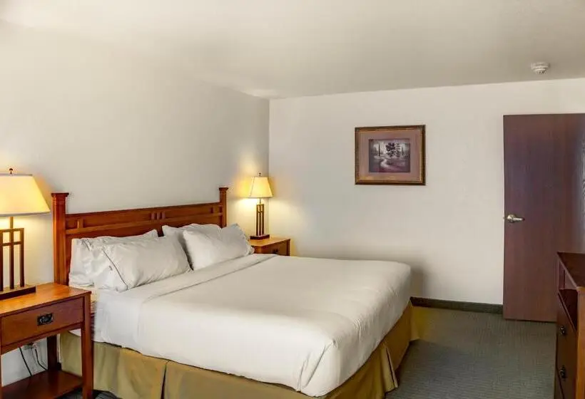 スイート, Holiday Inn Express & Suites Jacksonville, An Ihg