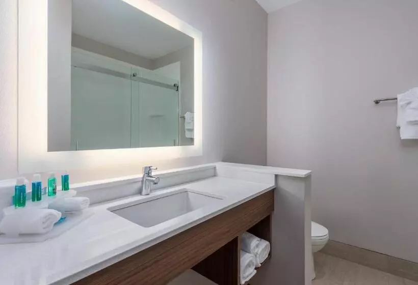 Sviitti King-vuode, Holiday Inn Express & Suites Vandalia, An Ihg