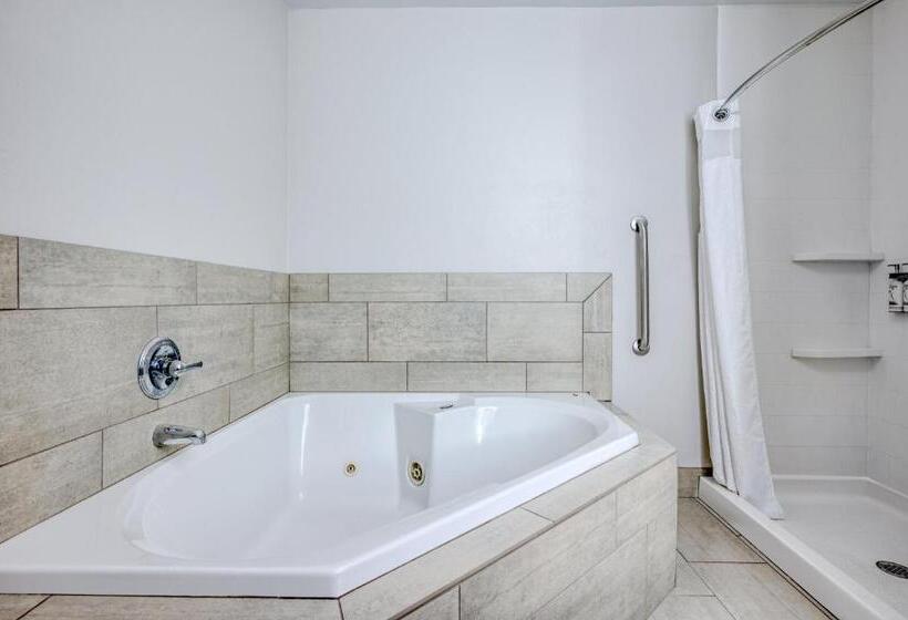Стандартный Номер Кровать Кинг, Holiday Inn Express & Suites Vandalia, An Ihg