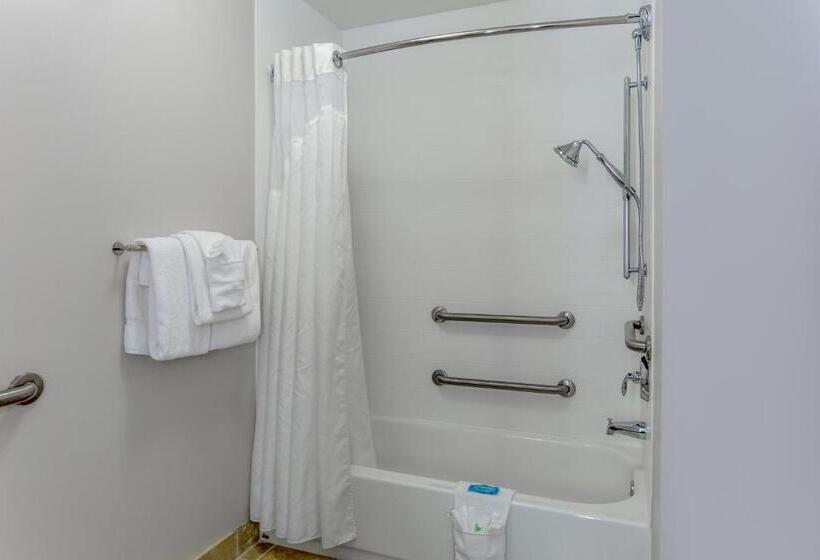 סוויטה מותאמת לאדם עם מוגבלויות, Holiday Inn Express & Suites Vandalia, An Ihg