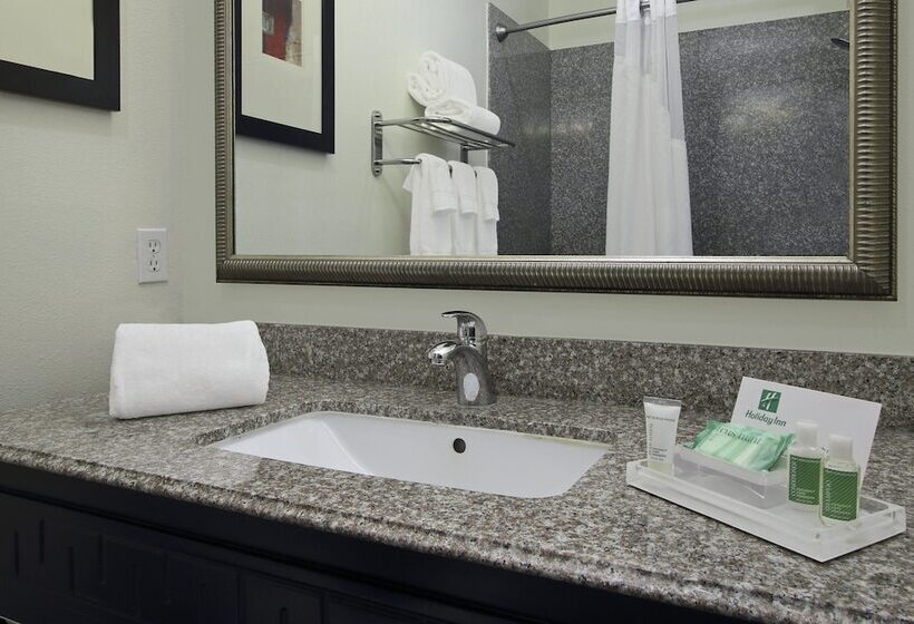 اتاق استاندارد, Holiday Inn Hammond, An Ihg