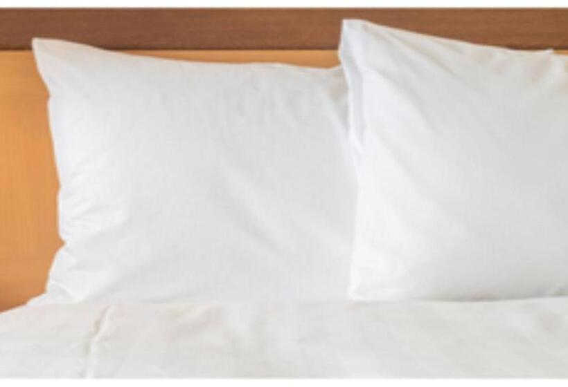 اتاق استاندارد, Holiday Inn Hammond, An Ihg