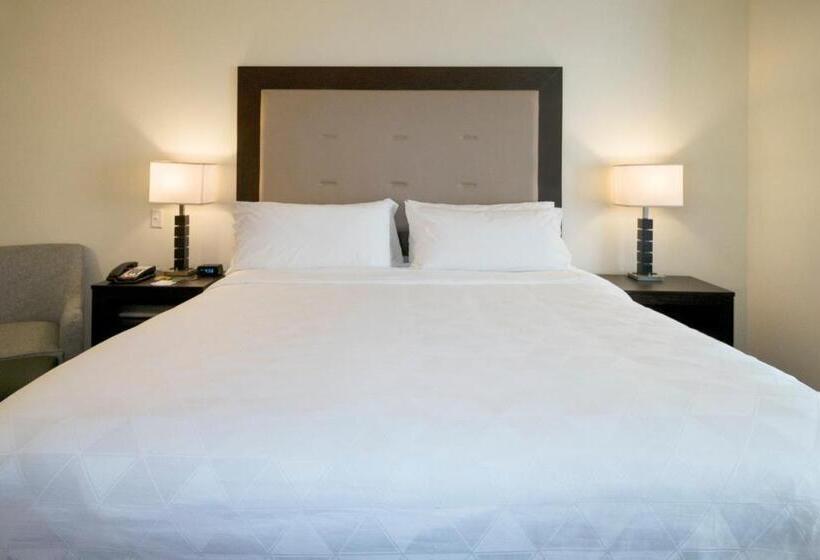 اتاق استاندارد, Holiday Inn Hammond, An Ihg