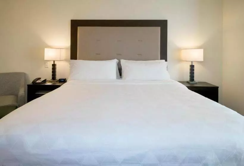 キングサイズベッドのスタンダードルーム, Holiday Inn Hammond, An Ihg