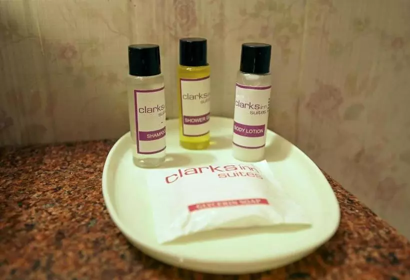 デラックスルーム, Clarksinn Suites Ranthambhore