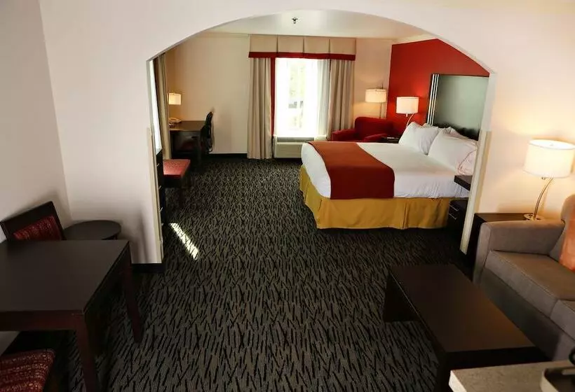 スイート, Holiday Inn Express Hotel & Suites   Sumter, An Ihg