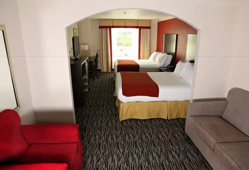 スイート, Holiday Inn Express Hotel & Suites   Sumter, An Ihg
