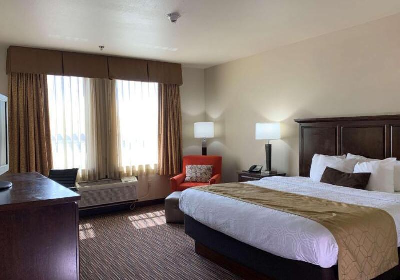 חדר סטנדרט עם מיטת קינג, Holiday Inn Express Hotel & Suites   Sumter, An Ihg