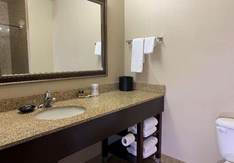 غرفة قياسية سرير كينج, Holiday Inn Express Hotel & Suites   Sumter, An Ihg