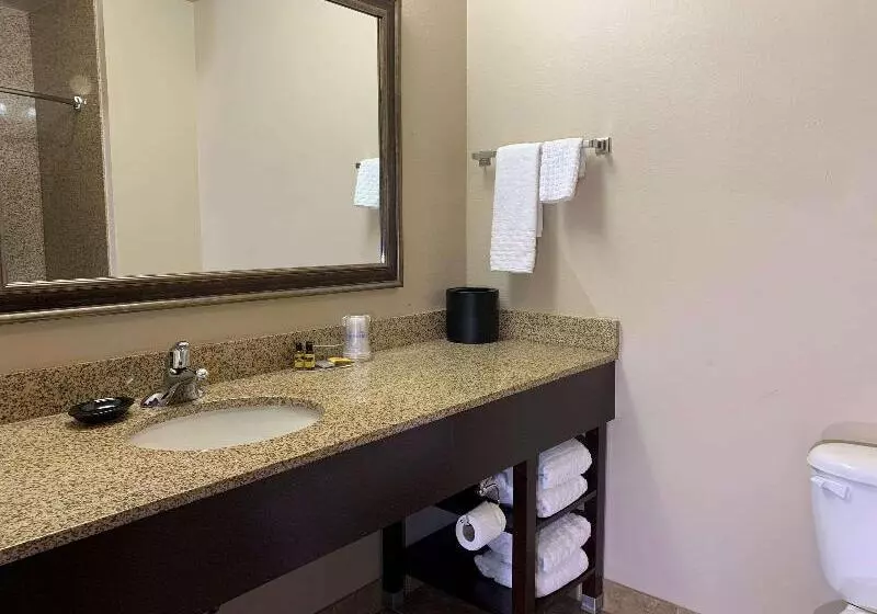 キングサイズベッドのスタンダードルーム, Holiday Inn Express Hotel & Suites   Sumter, An Ihg