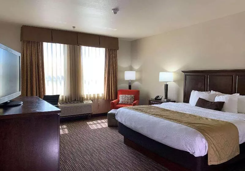 キングサイズベッドのスタンダードルーム, Holiday Inn Express Hotel & Suites   Sumter, An Ihg